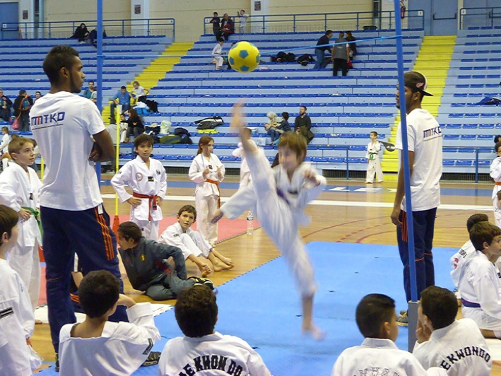 p4450481.jpg