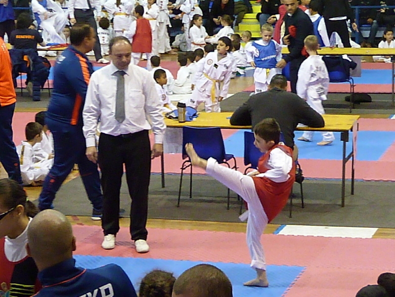 p4820173.jpg