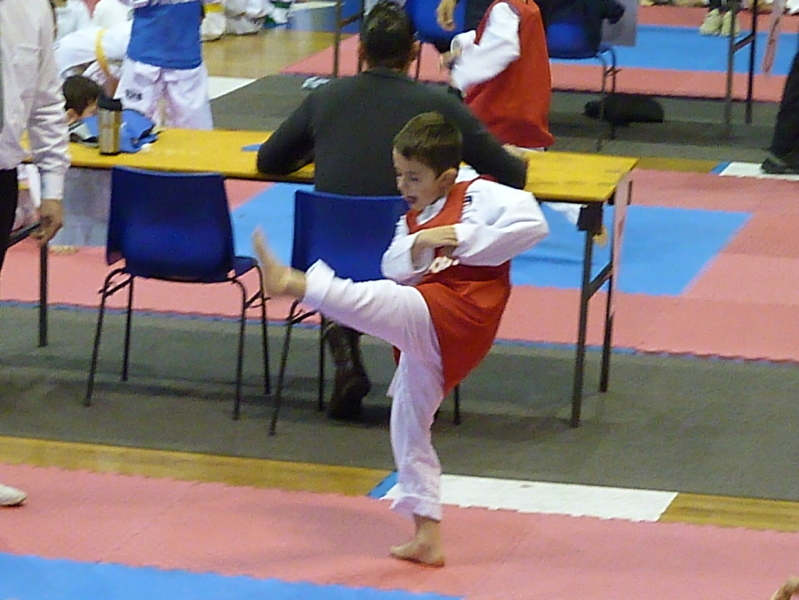 p4820220.jpg