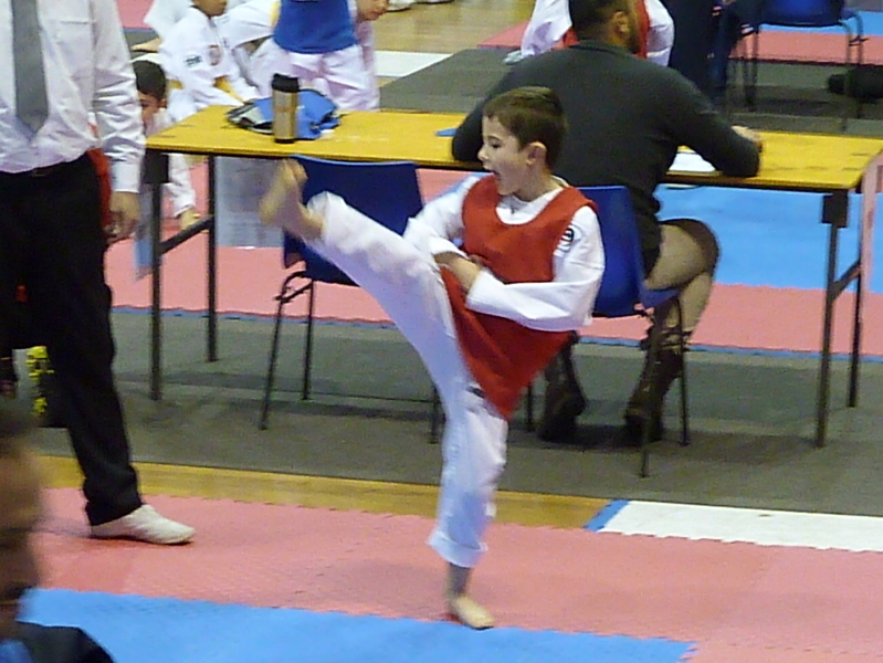 p4820230.jpg