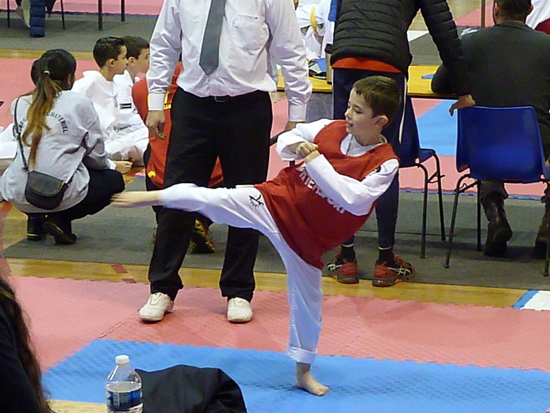 p4820247.jpg