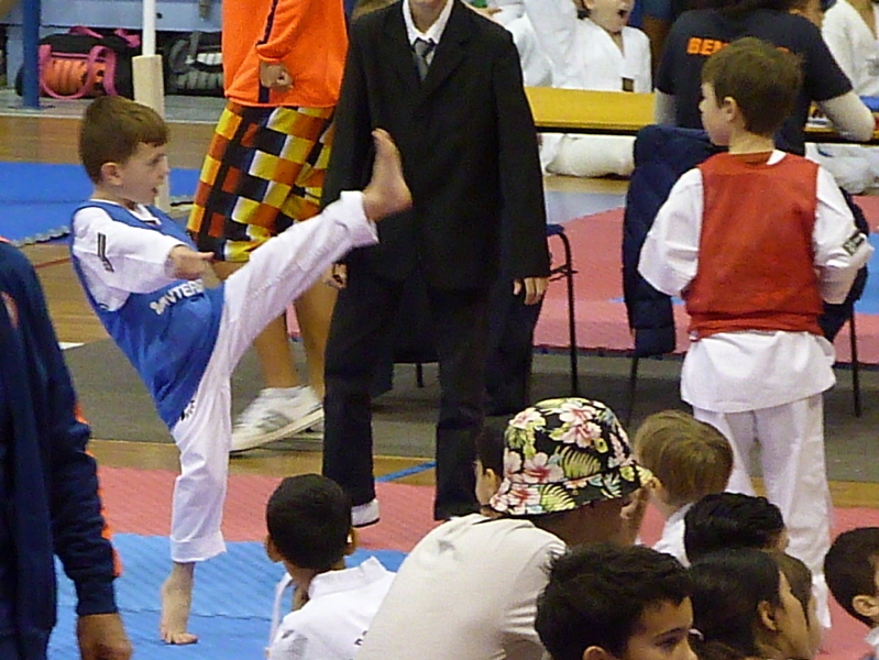 p4820298.jpg