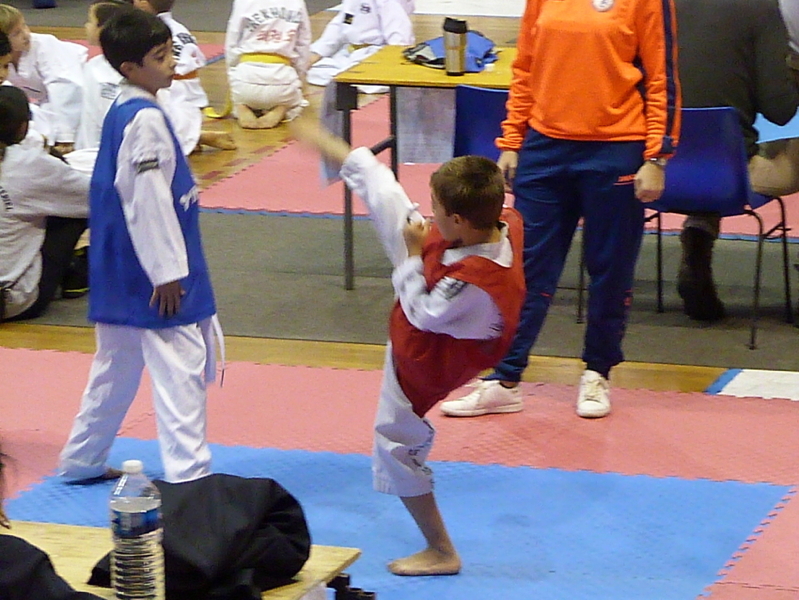 p4820418.jpg
