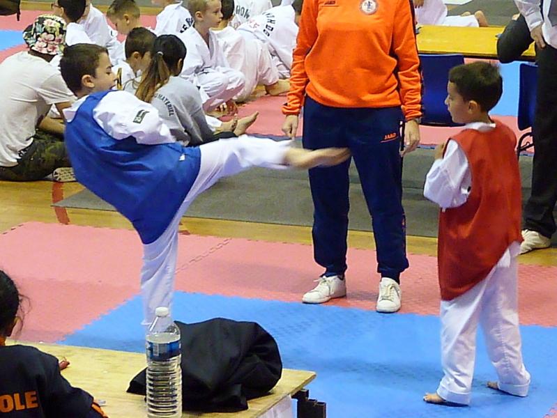 p4820435.jpg