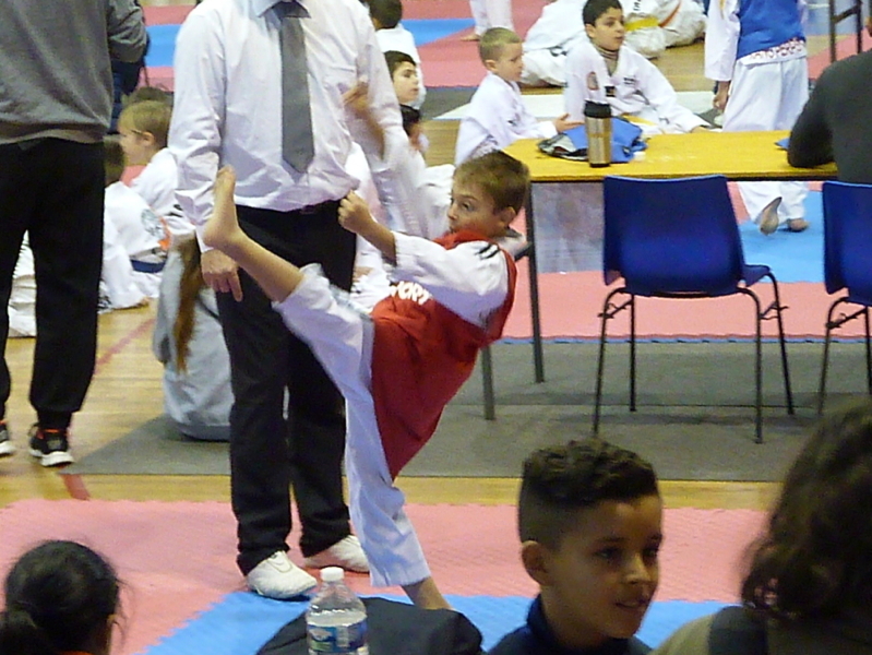 p4820481.jpg
