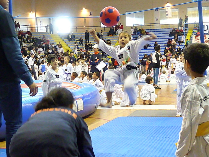 p4820541.jpg