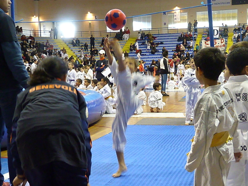 p4820543.jpg