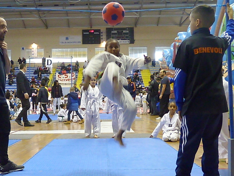 p4820574.jpg