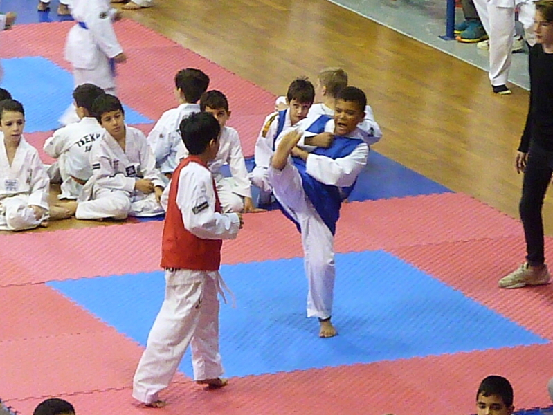 p4820987.jpg