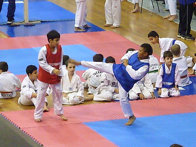 p4820997.jpg