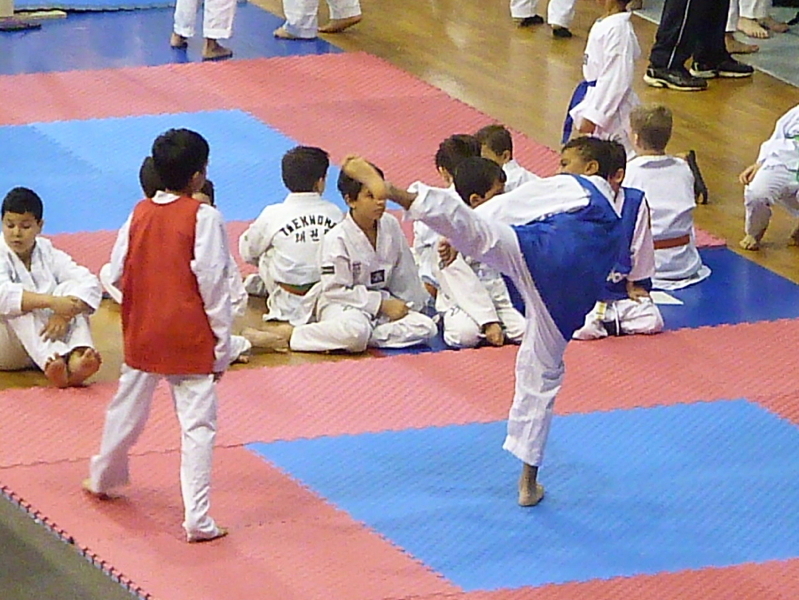 p4830019.jpg