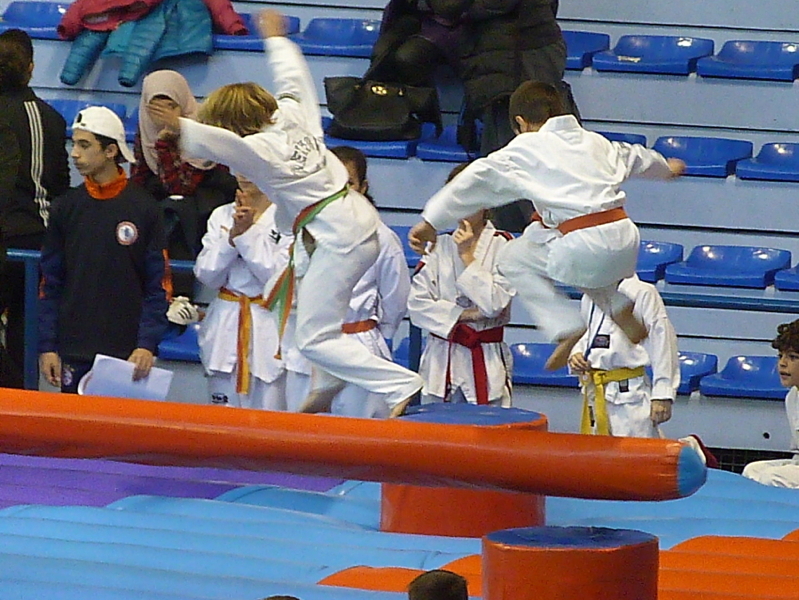 p4830181.jpg
