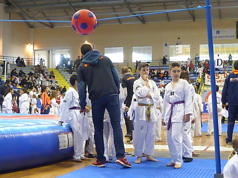 p4830227.jpg