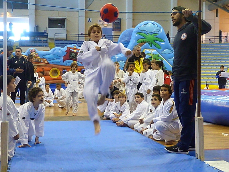 p4830278.jpg