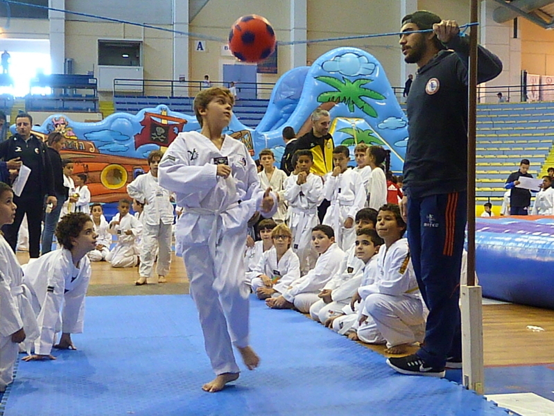 p4830282.jpg