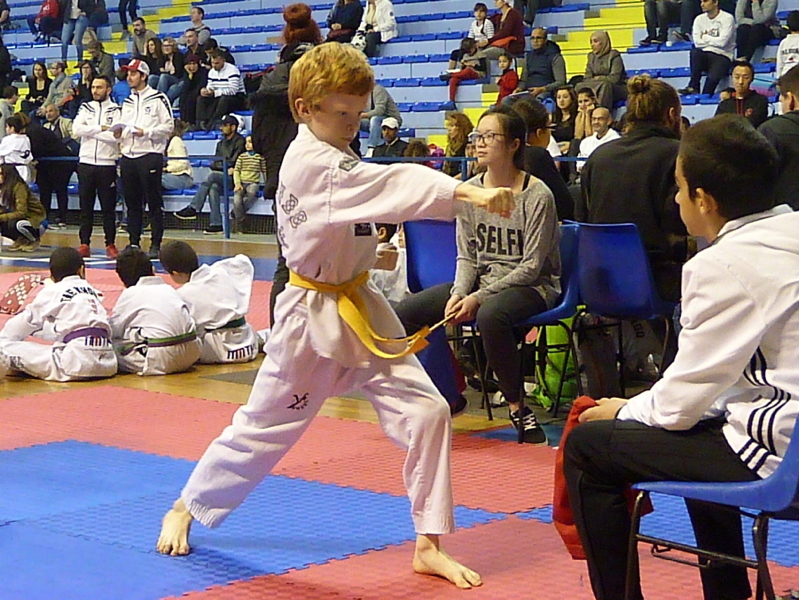 p4830875.jpg
