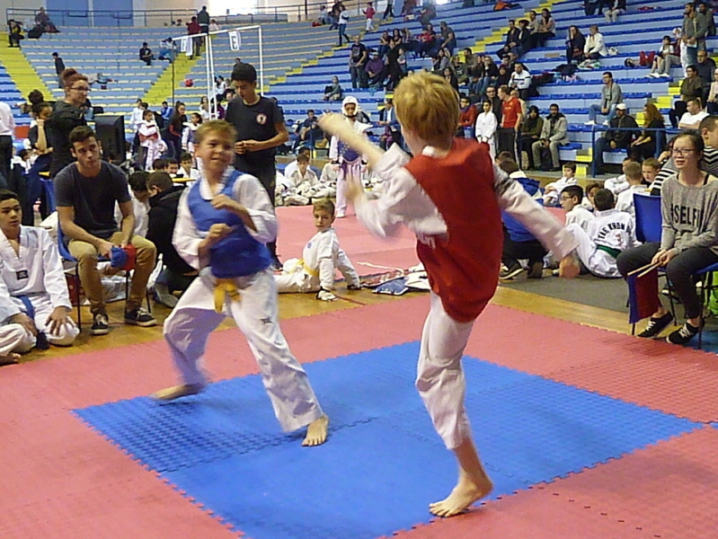 p4830922.jpg