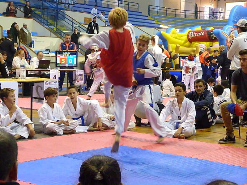 p4830997.jpg