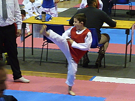 p4820230.jpg