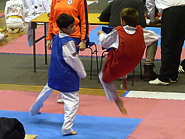 p4820399.jpg