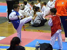 p4820425.jpg