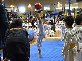 p4820543.jpg