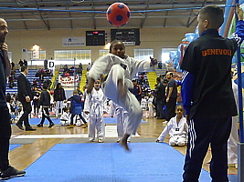 p4820574.jpg