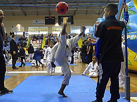 p4820575.jpg