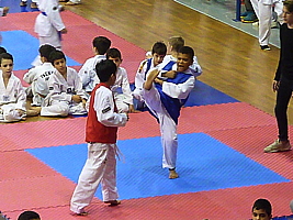 p4820987.jpg