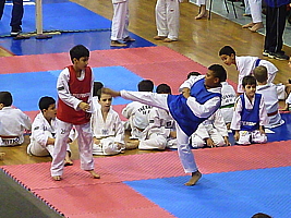 p4820997.jpg