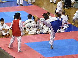 p4830019.jpg