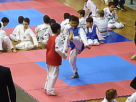 p4830050.jpg