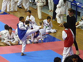 p4830054.jpg