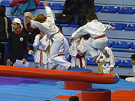 p4830181.jpg