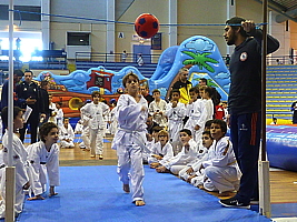 p4830275.jpg