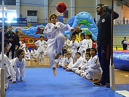 p4830278.jpg