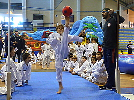 p4830279.jpg