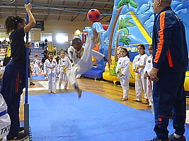 p4830314.jpg