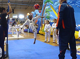 p4830320.jpg