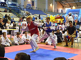 p4830984.jpg