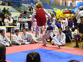 p4830998.jpg