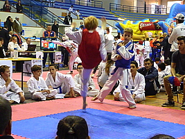 p4830999.jpg