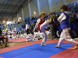 p4840055.jpg