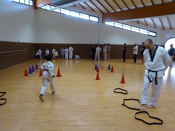 p4540185.jpg