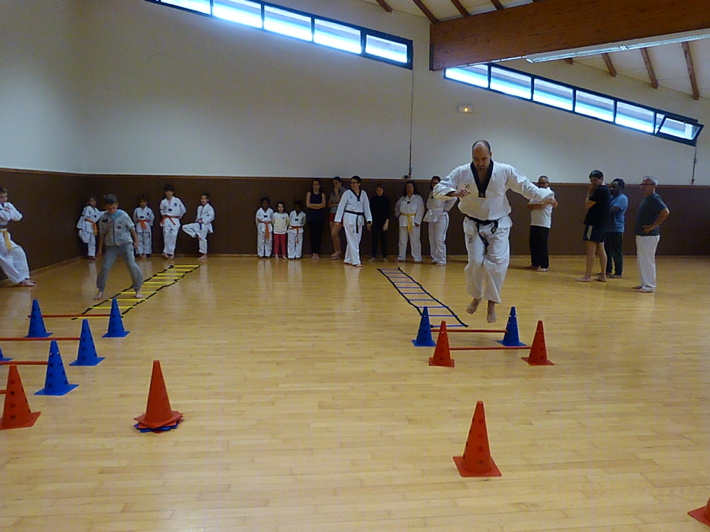 p4540365.jpg