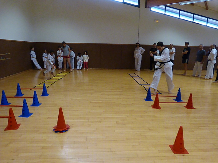 p4540486.jpg