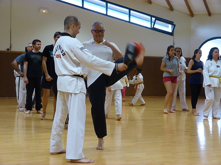 p4560967.jpg