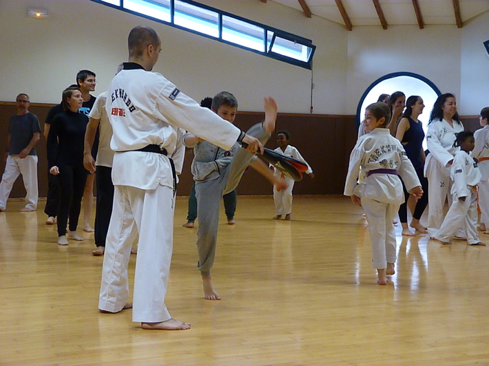 p4570076.jpg