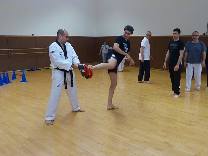p4570387.jpg