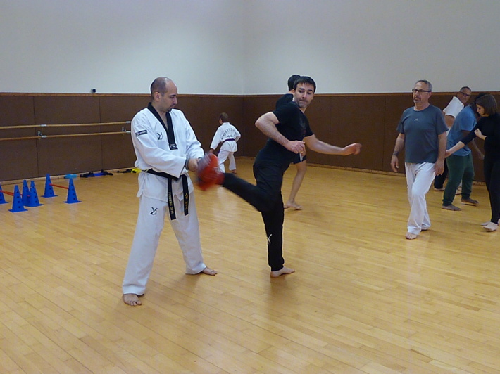 p4570390.jpg